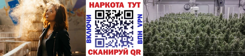 Виды наркотиков купить Гдов ГАШИШ  СОЛЬ  Меф мяу мяу  МАРИХУАНА 