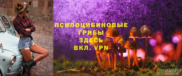 винт Верхний Тагил